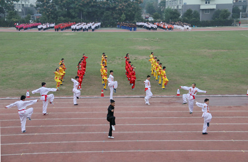 武术表演3.jpg